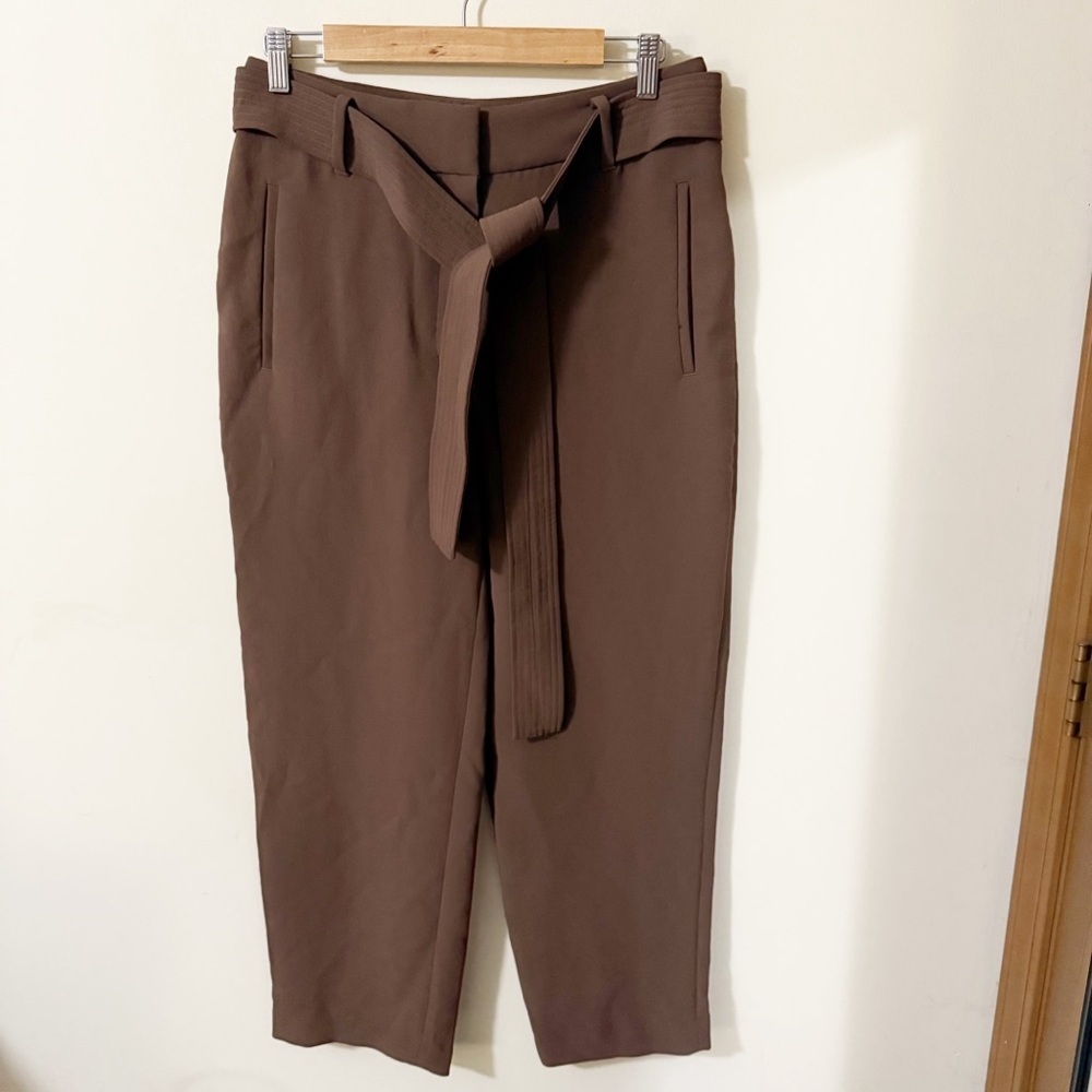 Wilfred Womens Brown Pants Size 10 Office Business Casual Belt